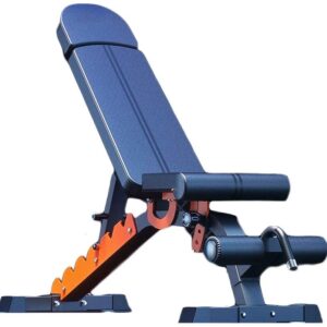 TYLZDZ Bancs de Musculation Banc D'haltères en Métal Bleu Banc Professionnel Presse pour Usage Domestique Intérieur 155 Cm De Long Réglage Rapide Entraînement De Remise en Forme Multifonctionnel