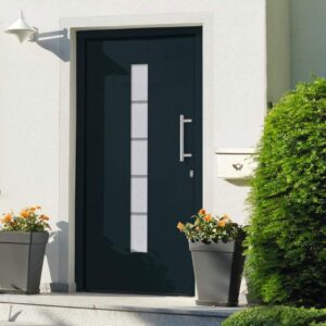 vidaXL Porte d'Entrée Porte d'Extérieur Sécurité Maison Jeu de Poignées Jeu de Clés Ruban Adhésif PVC et Aluminium Anthracite 100x200 cm