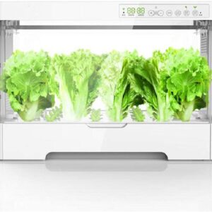 WSN Système de Culture hydroponique, Opération Intelligente sans Sol boîte de Plantation de légumes Kit de démarrage de Jardin d'herbes d'intérieur, pour Le Jardinage de Cuisine à Domicile,110v