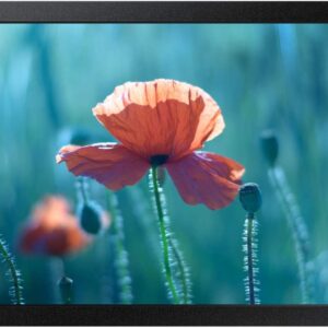 SAMSUNG QB13R 13p FHD 16:9