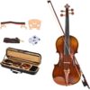Violon 4/4 avec accessoires Jujube - Étui carré pour débutant