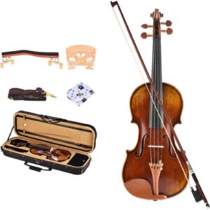 Violon 4/4 avec accessoires Jujube - Étui carré pour débutant