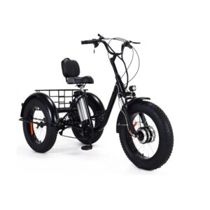 OSHKI Tricycle Électrique, Vélo Électrique Adulte De 20 Pouces À 3 Roues avec Moteur De 350 W, Batterie Amovible, Siège Réglable Et Panier Arrière [Classe énergétique A]
